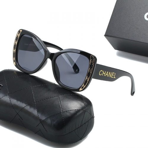 Sunglass with case Q220527-QC1023 (4)