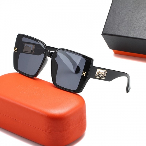 Sunglass with case Q220527-QS1709 (5)