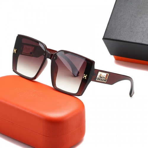 Sunglass with case Q220527-QS1709 (3)