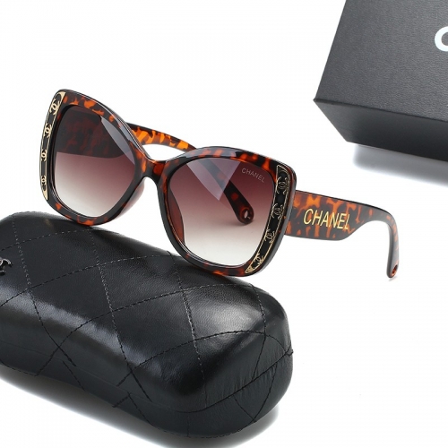 Sunglass with case Q220527-QC1023 (2)