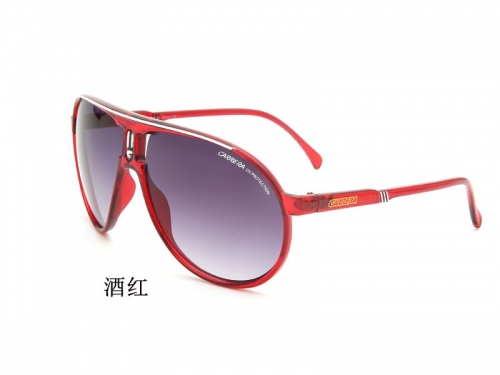 Sunglass with case Q220527-QCRC31 (5)