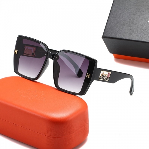 Sunglass with case Q220527-QS1709 (4)