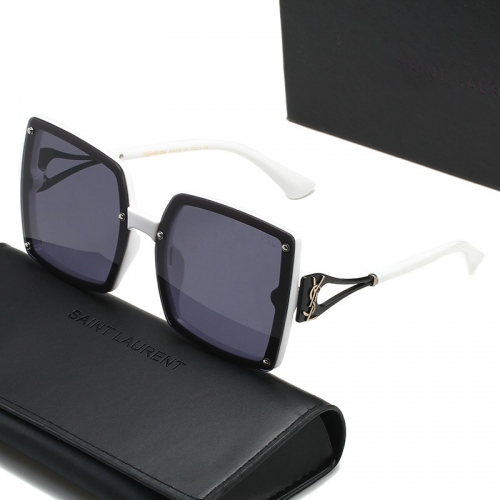 Saint Laurent Sunglass with case Q6210 (5)