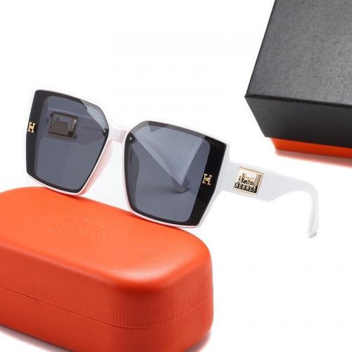 Herm'es Sunglass with case Q1709 (5)