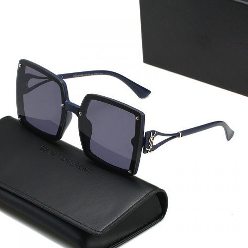 Saint Laurent Sunglass with case Q6210 (4)