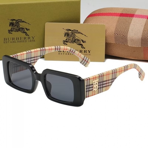 Sunglass with Case QB10012-15 (4)