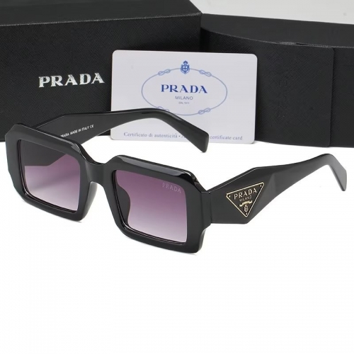 Sunglass with Case QPSP19-13 (1)