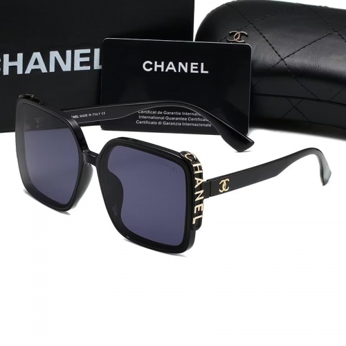 Sunglass with Case QCH393-15 (6)