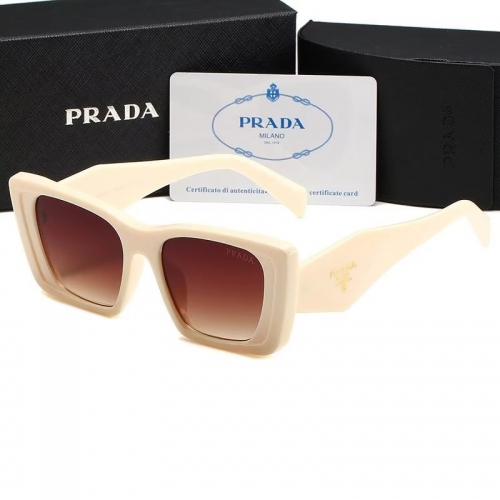 Sunglass with Case QP1008-13 (1)