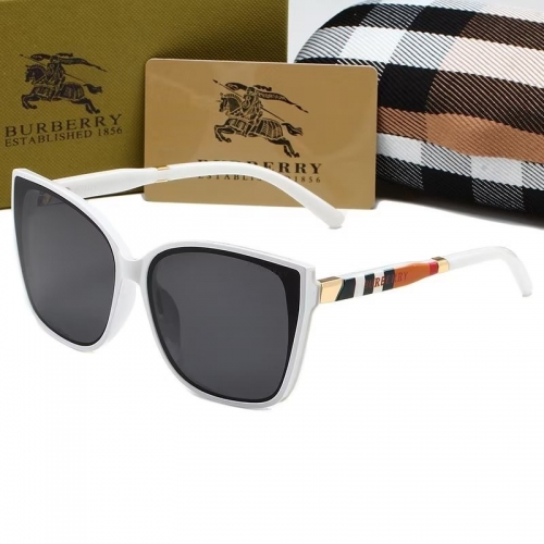 Sunglass with Case QB1009-16 (5)