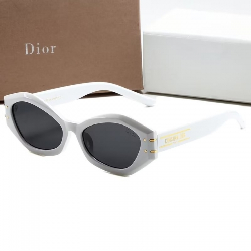 Sunglass with Case QD9096-13 (2)