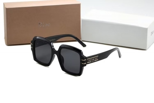 Sunglass with Case QD1526-13 (5)