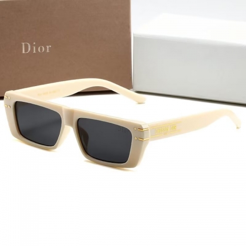 Sunglass with Case QD3001-13 (3)