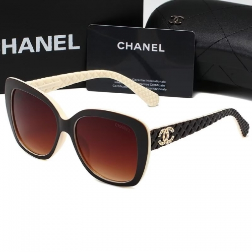Sunglass with Case QCH9173-13 (7)