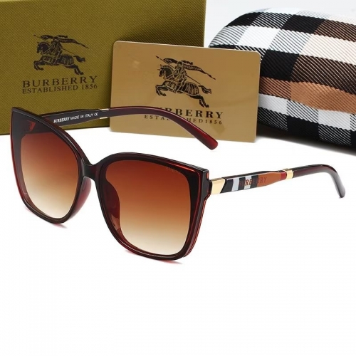 Sunglass with Case QB1009-16 (2)