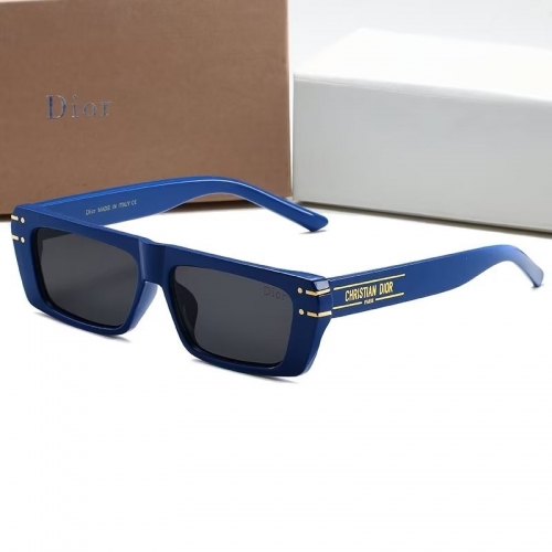 Sunglass with Case QD3001-13 (1)