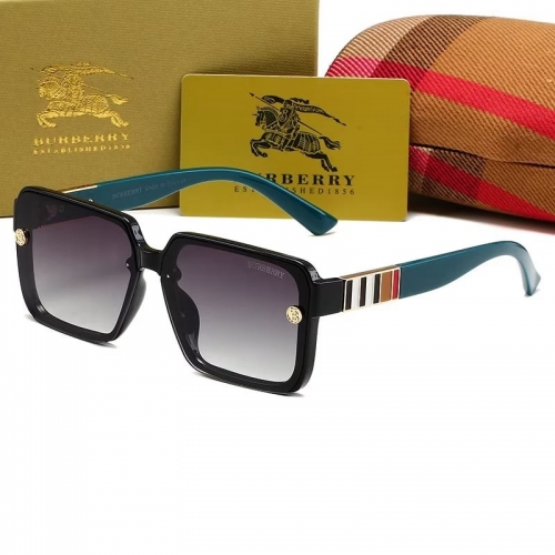 Sunglass with Case QB213-16 (1)