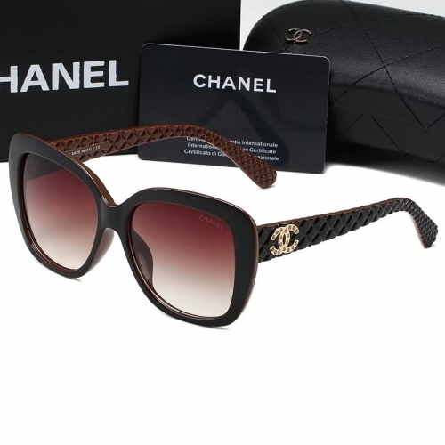 Sunglass with Case QCH9173-13 (3)