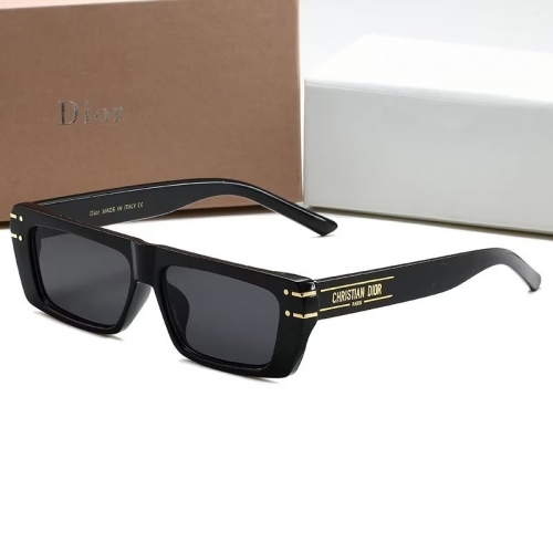 Sunglass with Case QD3001-13 (5)