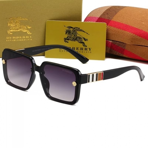 Sunglass with Case QB213-16 (6)