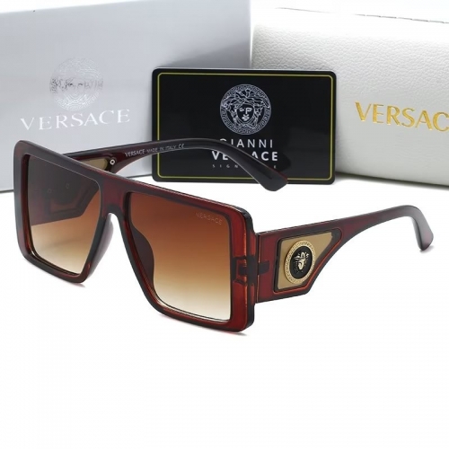 Sunglass with Case QV1005-15 (6)