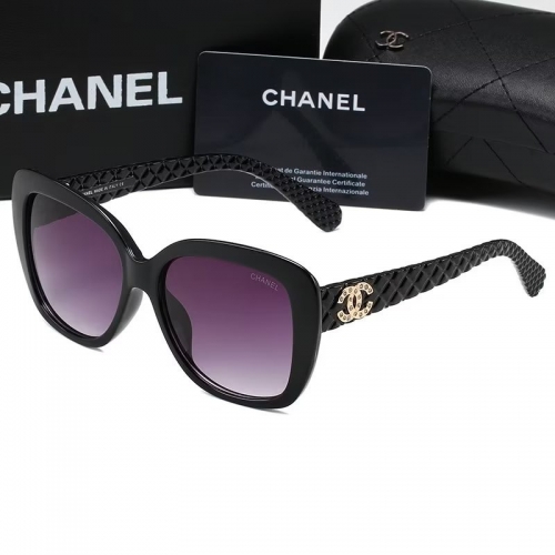 Sunglass with Case QCH9173-13 (1)