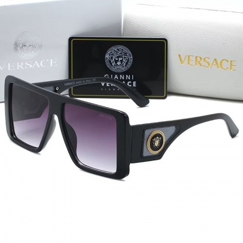 Sunglass with Case QV1005-15 (5)