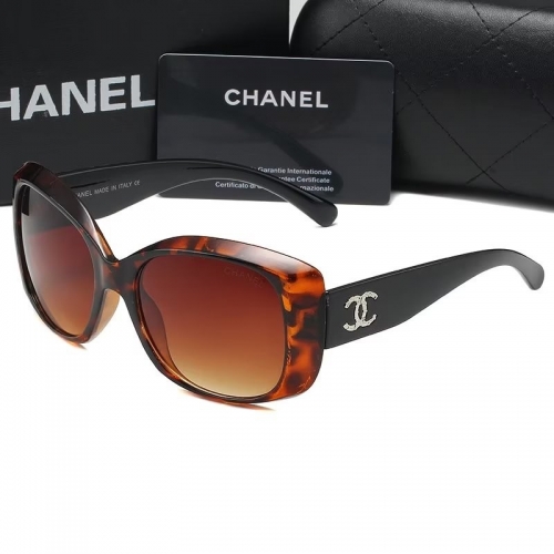 Sunglass with Case QC9925-13 (2)