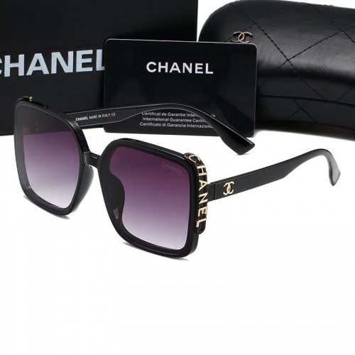 Sunglass with Case QCH393-15 (1)