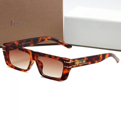 Sunglass with Case QD3001-13 (2)