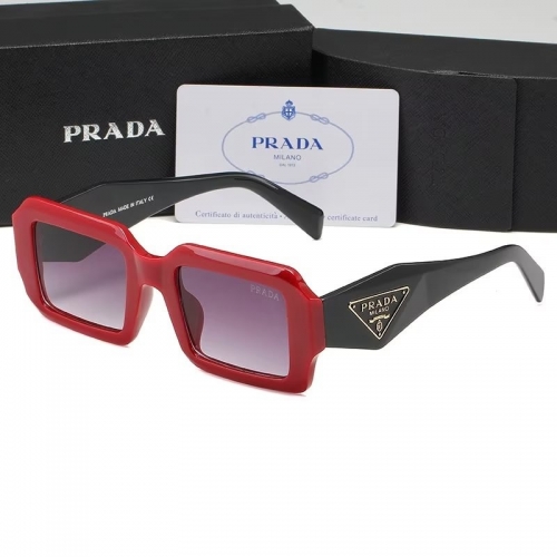 Sunglass with Case QPSP19-13 (2)