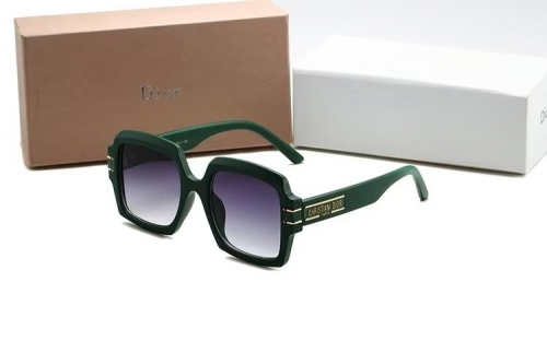 Sunglass with Case QD1526-13 (2)