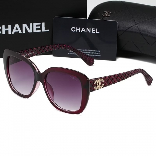 Sunglass with Case QCH9173-13 (4)