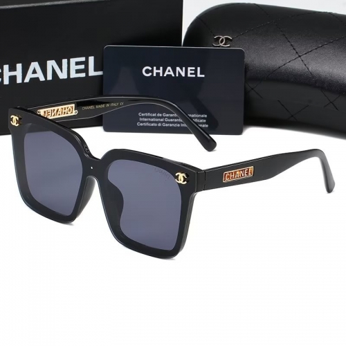 Sunglass with Case QCH6239-18 (6)