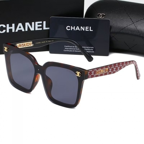 Sunglass with Case QCH6239-18 (3)
