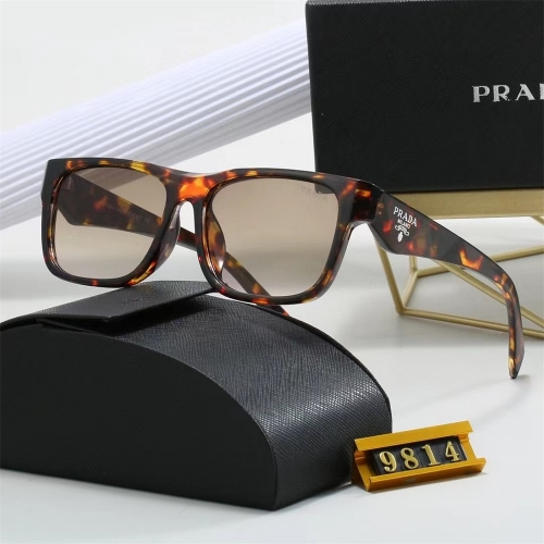 Sunglass With Case 36PT9814-36 (7)