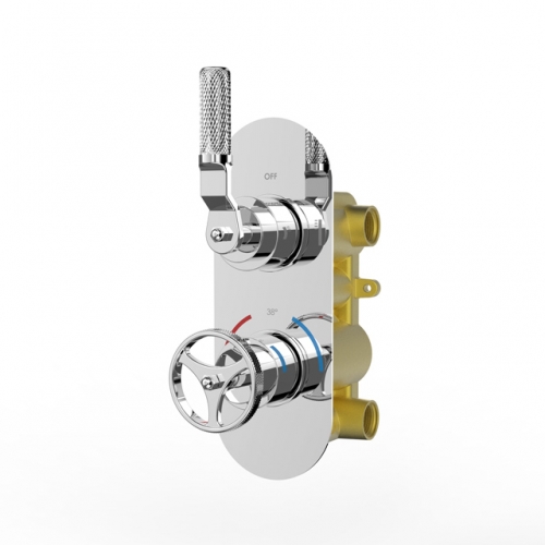 1 Outlet Industrial Style Round Modern Twin Concealed Shower Valve