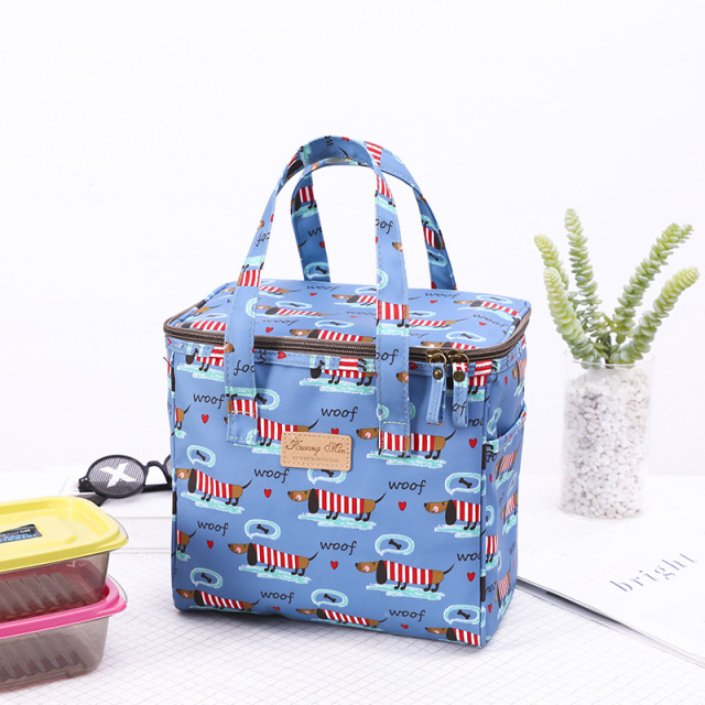 Stylish Korean Style Outdoor Thermal Insulation Bag Lunch Cooler Bags for College Girls