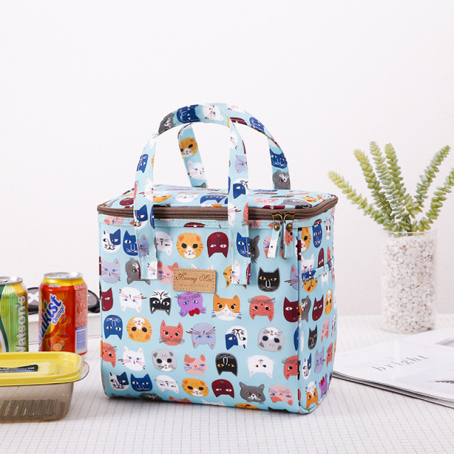 Stylish Korean Style Outdoor Thermal Insulation Bag Lunch Cooler Bags for College Girls