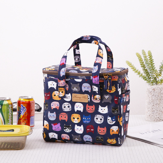 Stylish Korean Style Outdoor Thermal Insulation Bag Lunch Cooler Bags for College Girls