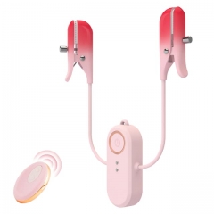 Remote Controlled 2 in 1 Nipple Clip Clitoral Clip Stimulator