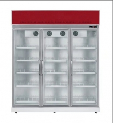 Kitchen Display Fridge