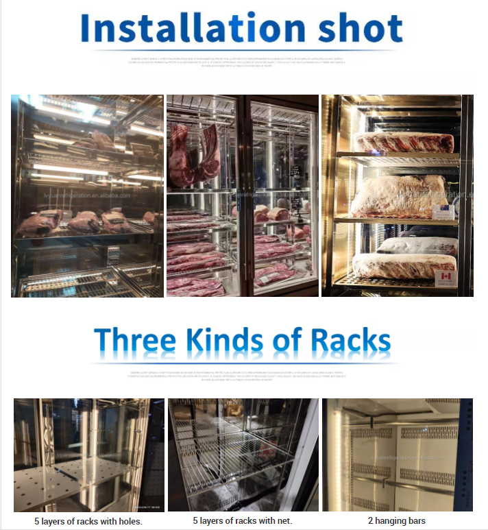 dry ager fridge,dry ager refrigerator,dry age steak in fridge,dry aging