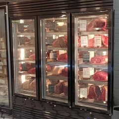 2022 Hot selling dry aged beef fridge meat dry aging refrigerator