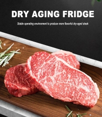 Dry aged beef fridge