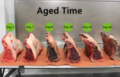 Dry aging refrigerator beef dry age fridge