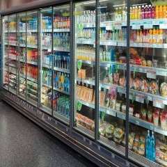 Commercial Refrigeration Equipment Class Door Freezer Cabinet Frozen Beverage Fridge