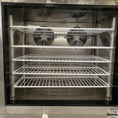 10 pans blast freezer