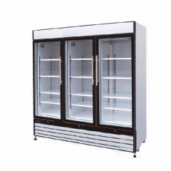 Three Glass Door Reach In Freezer