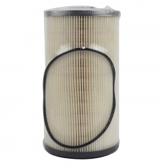 Fuel Filter,Cartridge